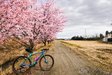 4月12日(日)お花見グラベルライドのお誘い！