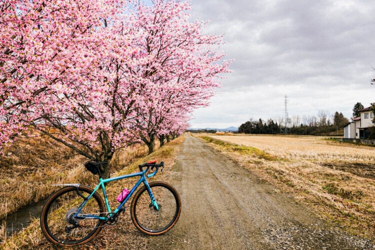 4月12日(日)お花見グラベルライドのお誘い！