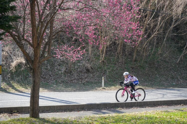 トライアスロンクラブの練習会を開催しました！