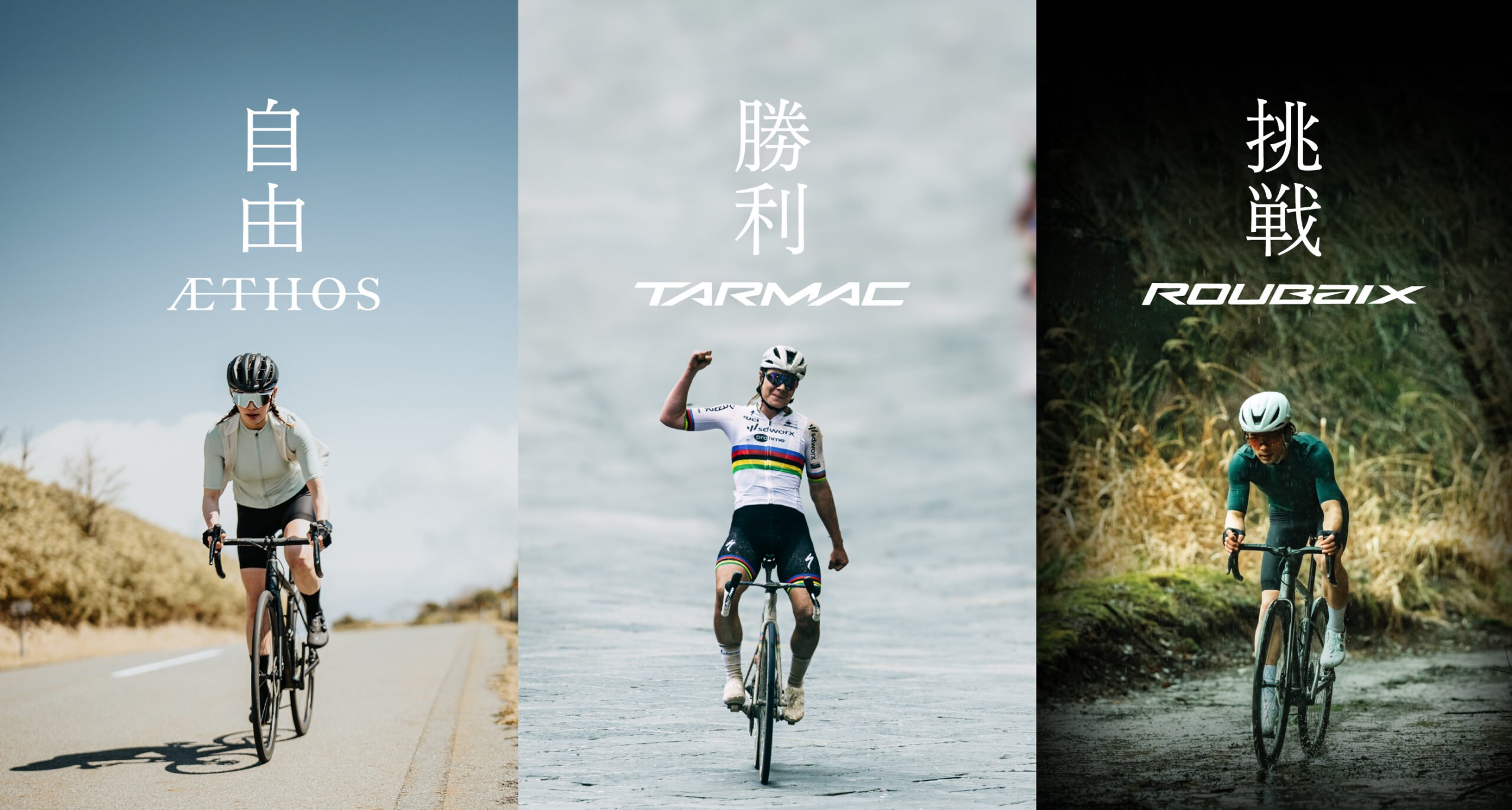 - 3 Icons -<br>Tarmac・Aethos・Roubaix