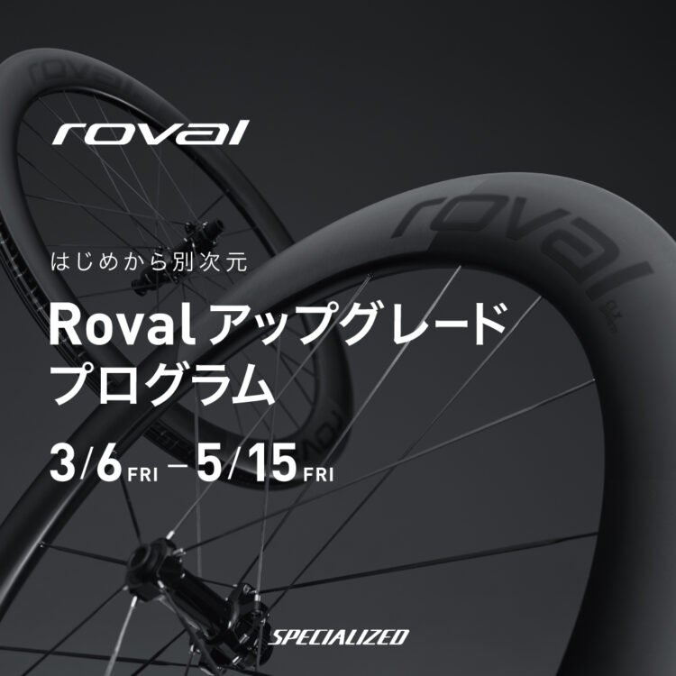 現在開催中の４つのお得なキャンペーンをまとめました！