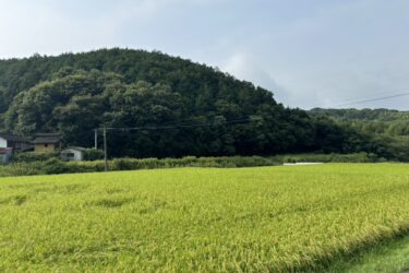 夏場に最適！涼みながら走るおすすめサイクリングコース