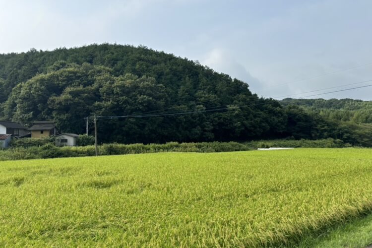 夏場に最適！涼みながら走るおすすめサイクリングコース