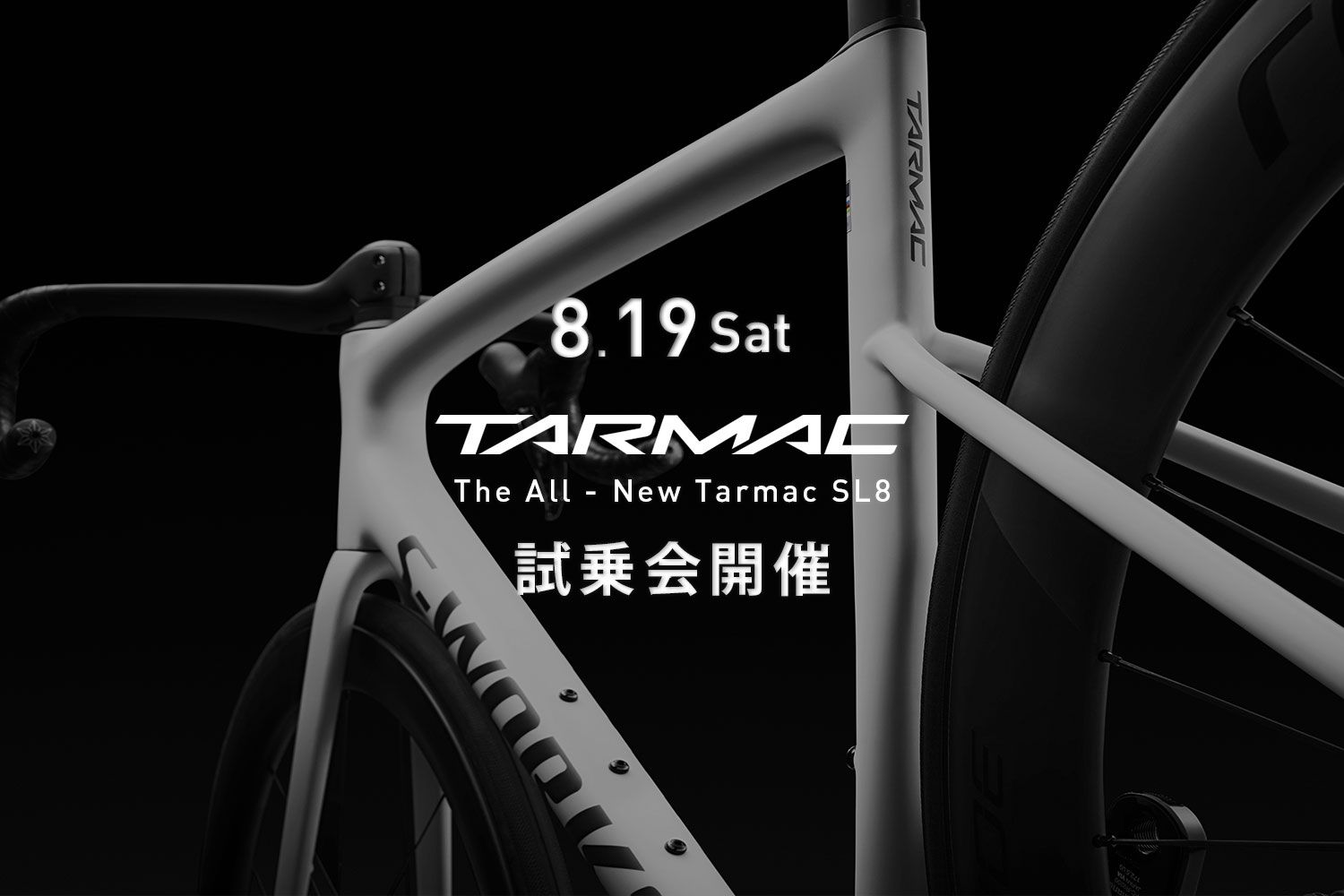 8/19(土) New Tarmac SL8 試乗会開催