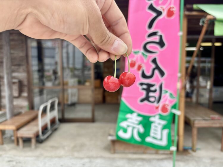 今が旬のさくらんぼを目指してビギナーズライドを開催しました！