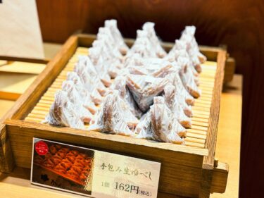 【ビギナー】かんのや本店へ土日限定の生ゆべしを食べるサイクリングコース！