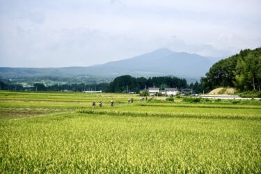 【イベント紹介】安達太良の晩秋を走る、プレミアムグラベル体験｜OMUSUBI GRAVEL 2025