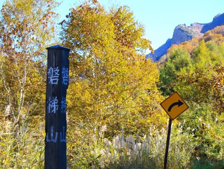 10月29日(水)スペシャライズド福島店・仙台泉店合同企画！秋の裏磐梯紅葉ライドのお誘い！