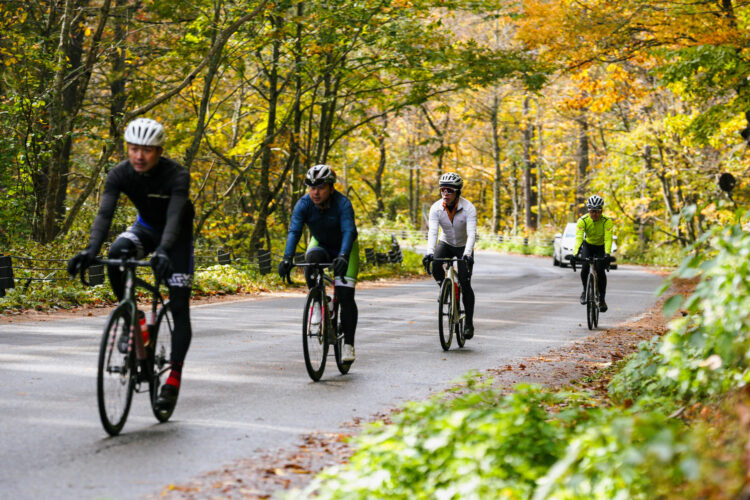 11月7日(金)朝練のお誘い！