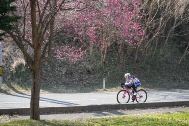 トライアスロンクラブの練習会を開催しました！