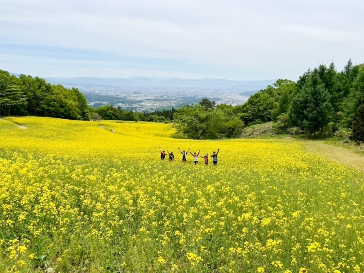5月16日(土) 三ノ倉菜の花ライドのお誘い！