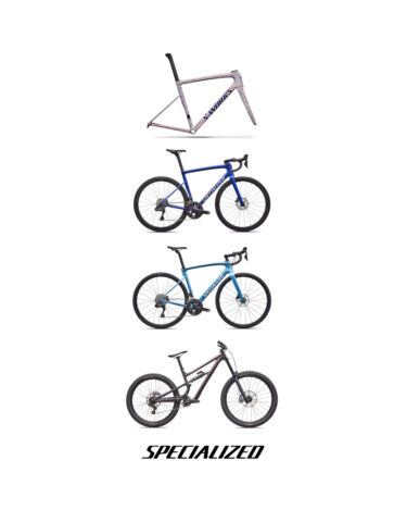 SPECIALIZED8月発売ニューバイク情報！！
