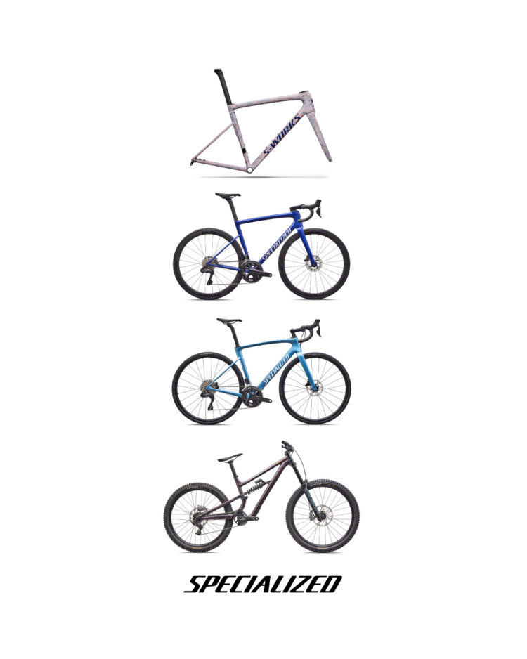 SPECIALIZED8月発売ニューバイク情報！！