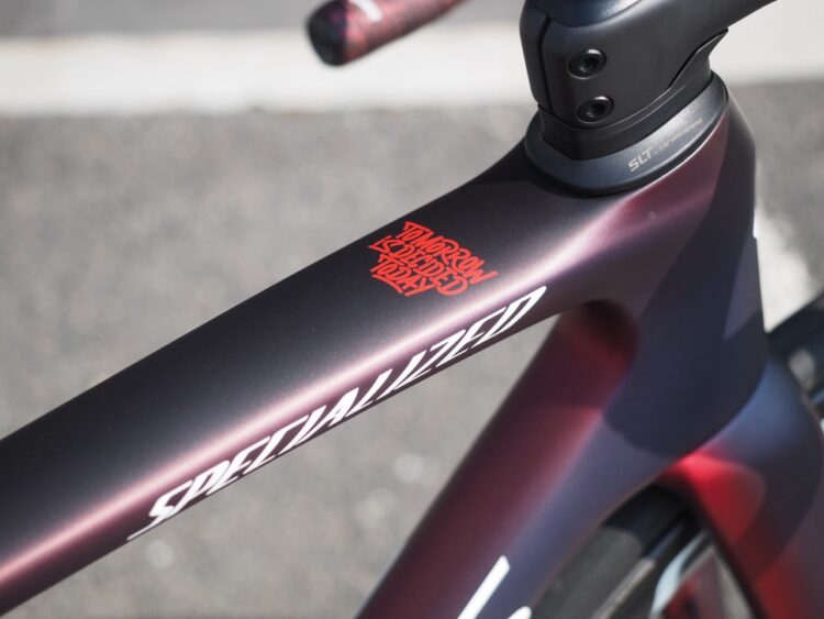 【ご納車バイク紹介】S-Works Tarmac SL9 Team Replica – FDJ UNITED – SUEZ