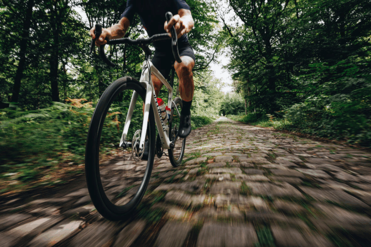 SPECIALIZED ROUBAIX SL8が人気の理由｜快適性と走行性能を両立した万能ロードバイク