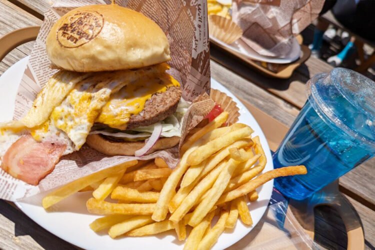ハンバーガーライド