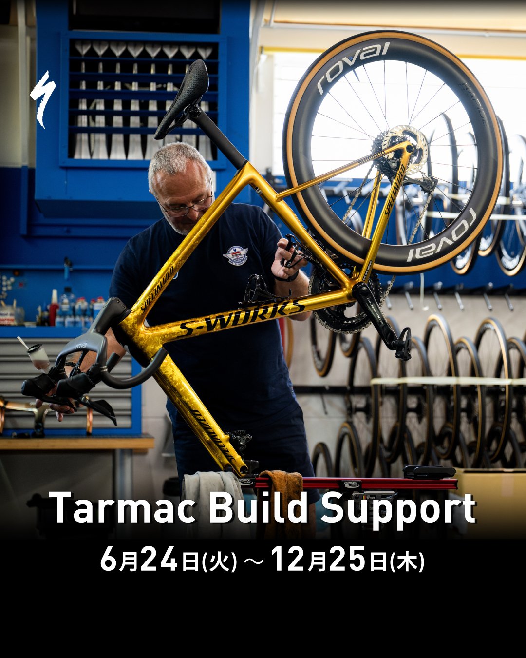 Roval Rapide Cockpitがもらえる - Tarmac Build Support