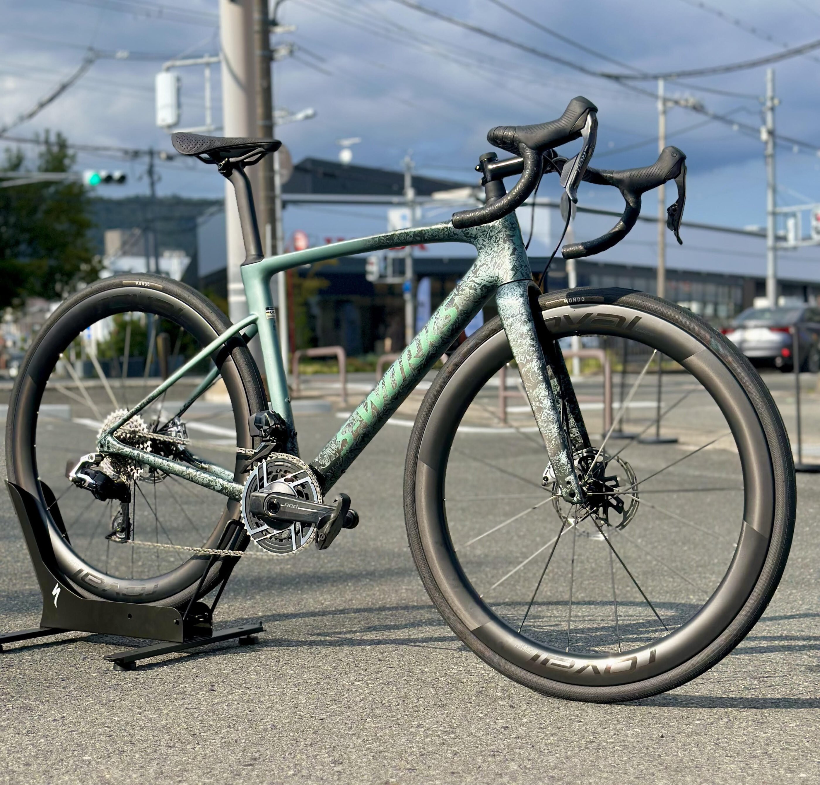 春から乗り出そう🌸