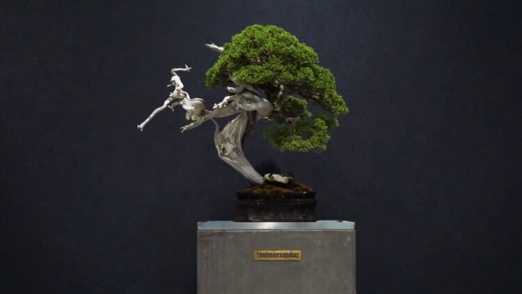 TRADMAN'S BONSAI ～盆栽のある理由～