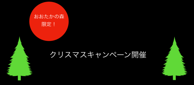 クリスマスキャンペーン！ロードシューズのベストマッチをプレゼント!!