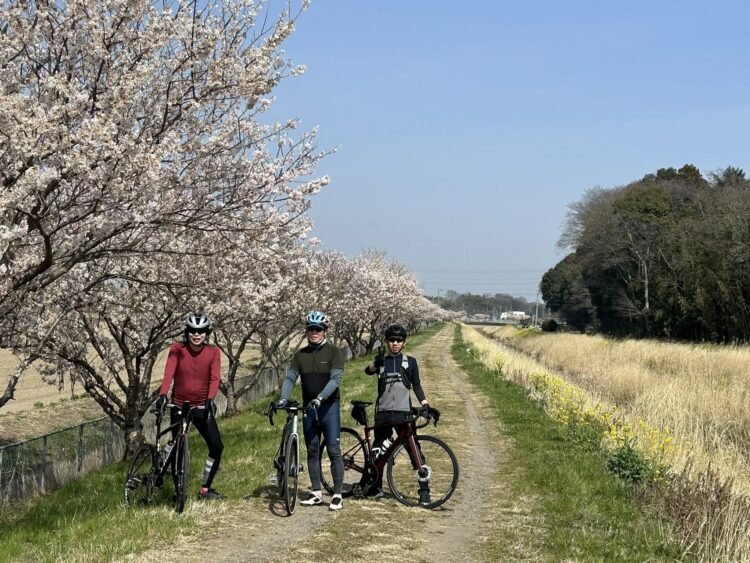 桜ロードライド