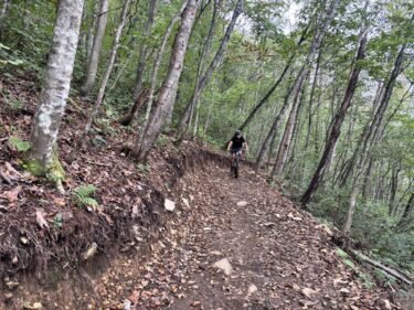 スプリングバレー仙台泉にMTBコースがオープン！実際に走ってきました