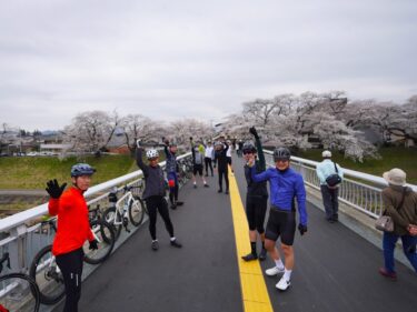 【レポート】タイミングバッチリでした！一目千本桜お花見ライド