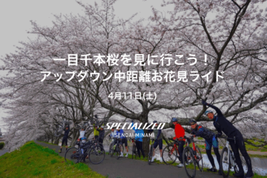 【4月11日(土)】一目千本桜を見に行こう！アップダウン中距離お花見ライド