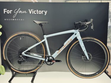 【即納可能バイク】DIVERGE EXPERT CARBON
