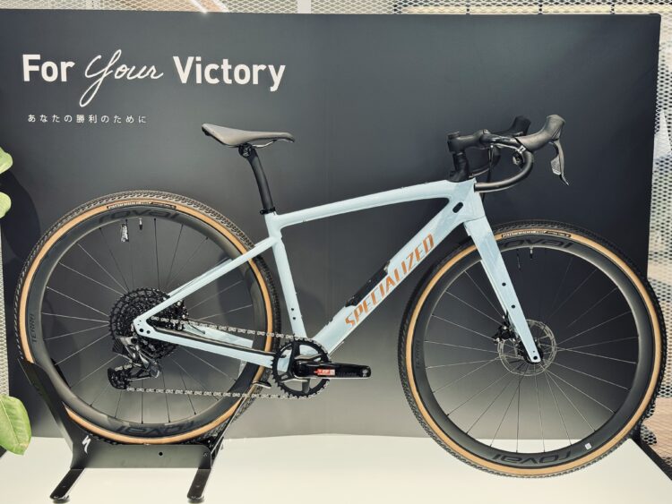 【即納可能バイク】DIVERGE EXPERT CARBON