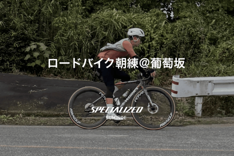【朝練】2026年2月7日（土）スペシャライズド住之江 ロードバイク朝練＠葡萄坂