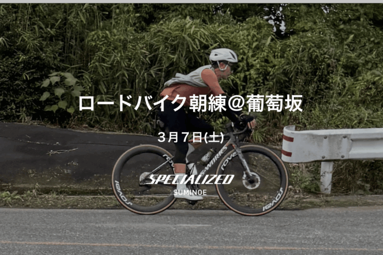 【朝練】2026年3月7日（土）スペシャライズド住之江 ロードバイク朝練＠葡萄坂