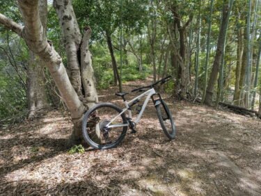 海南市「ハレアメマウンテンバイクコース」に行ってきました！