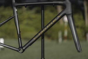 S-Works Tarmac SL8 Ready to Paint Framesetカラー:サテンカーボンレディートゥペイント/カメレオンスネークアイ