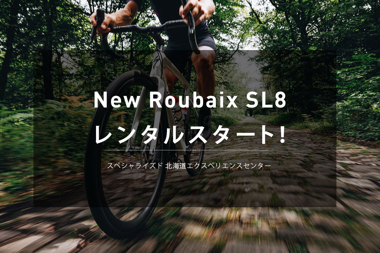 New Roubaix SL8 レンタルスタート